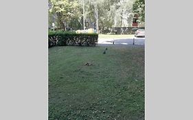 Sarmantni Apartman Malecka