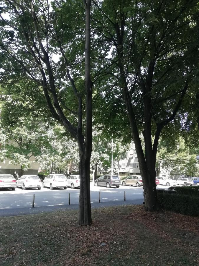 Sarmantni Apartman Malecka Zagrzeb Zewnętrze zdjęcie